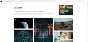 Imágenes y fotos libres de derecho de autor gratis